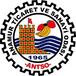 ANTSO Logo